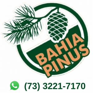 Bahia Pinus